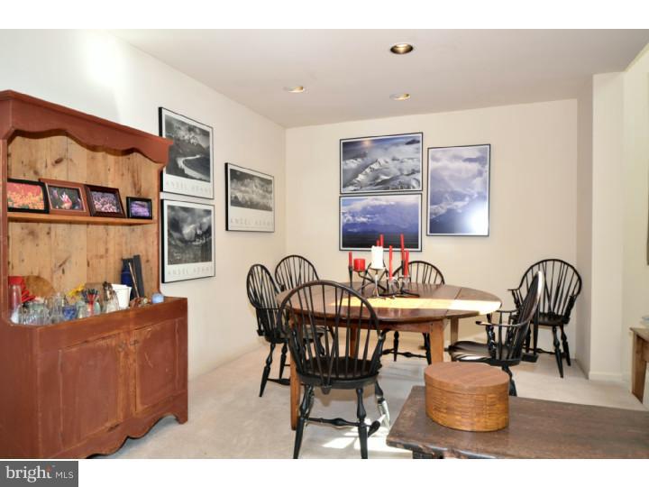 207 Springhouse Pond Chesterbrook, PA 19087 - Photo 8 of 25 Gallery Image 8