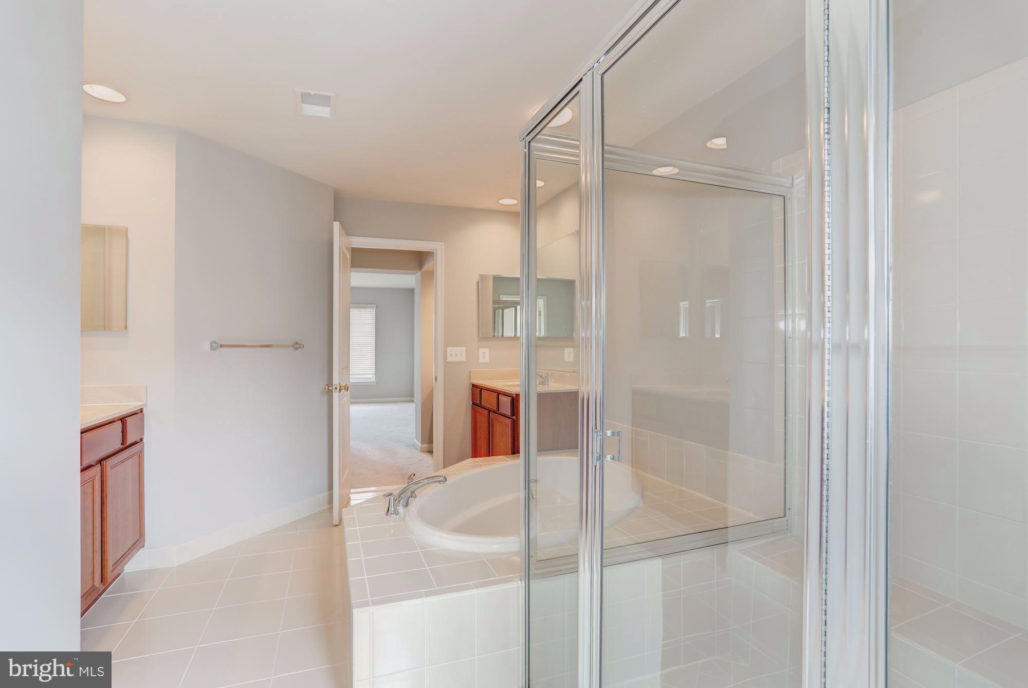 9154 Ribbon Falls Loop Bristow, VA 20136 - Photo 16 of 32 Oversized shower.