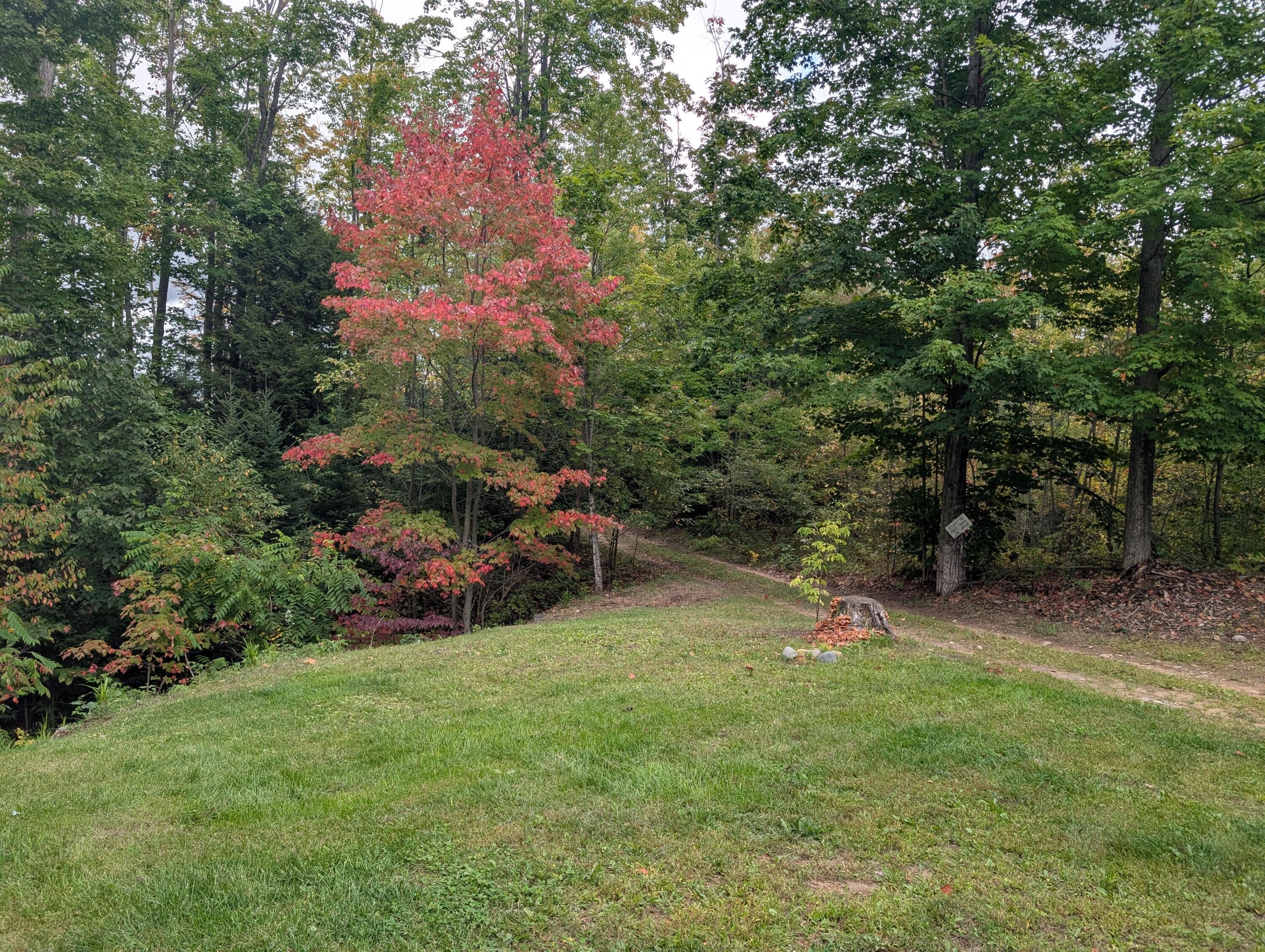11143 Beltz Road Atlanta, MI 49709 - Photo 23 of 86 PXL_20250923_171927254