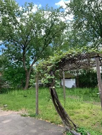 a backyard of a house with plants and large trees
