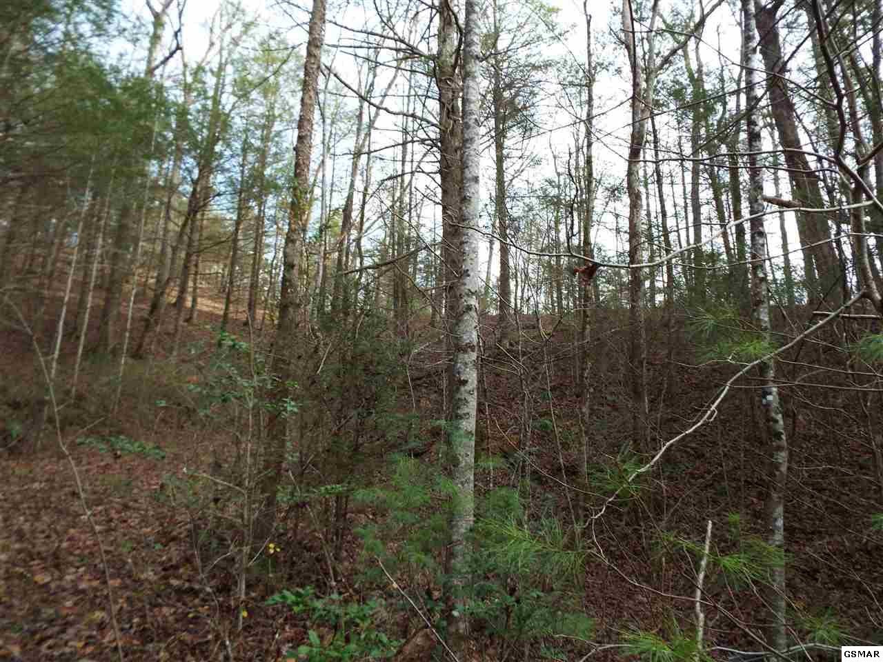 234 Yellow Breeches Road Cosby, TN 37722 - Photo 7 of 16 Gallery Image 7