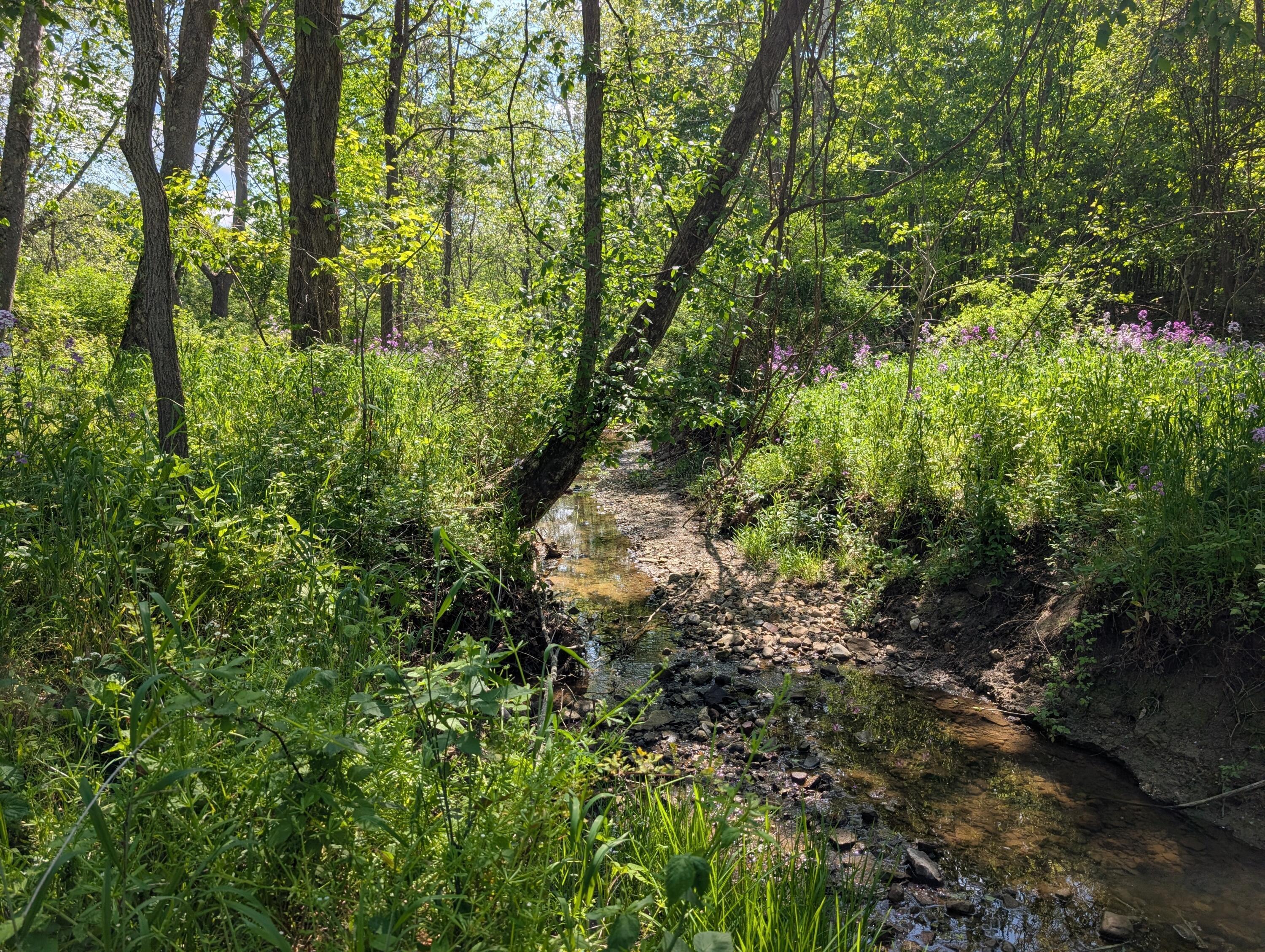 4315 Corner Road Alexandria, OH 43001 - Photo 6 of 39 Creek