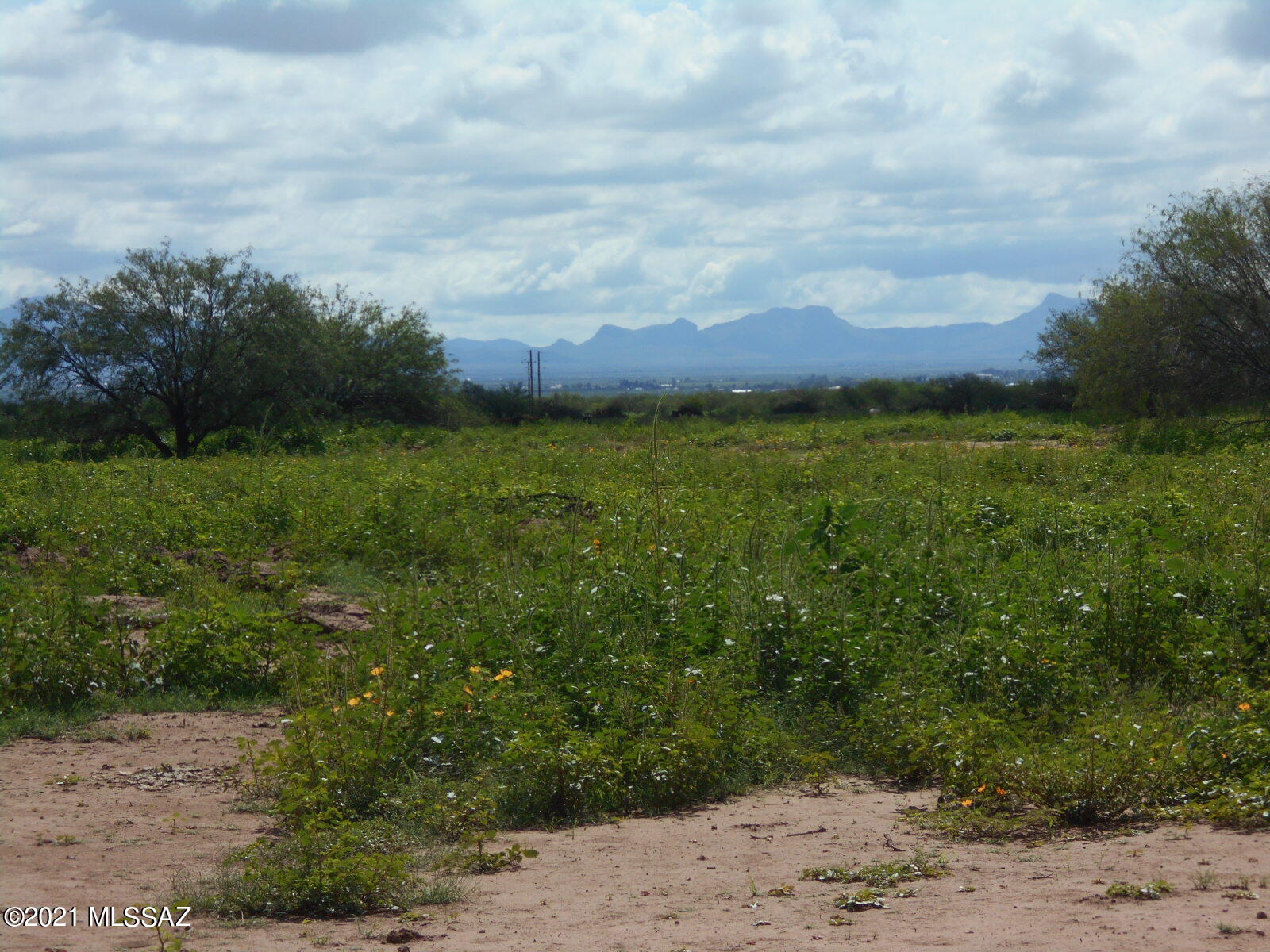 7298 North Frontier Road McNeal, AZ 85617 - Photo 12 of 40 Gallery Image 12