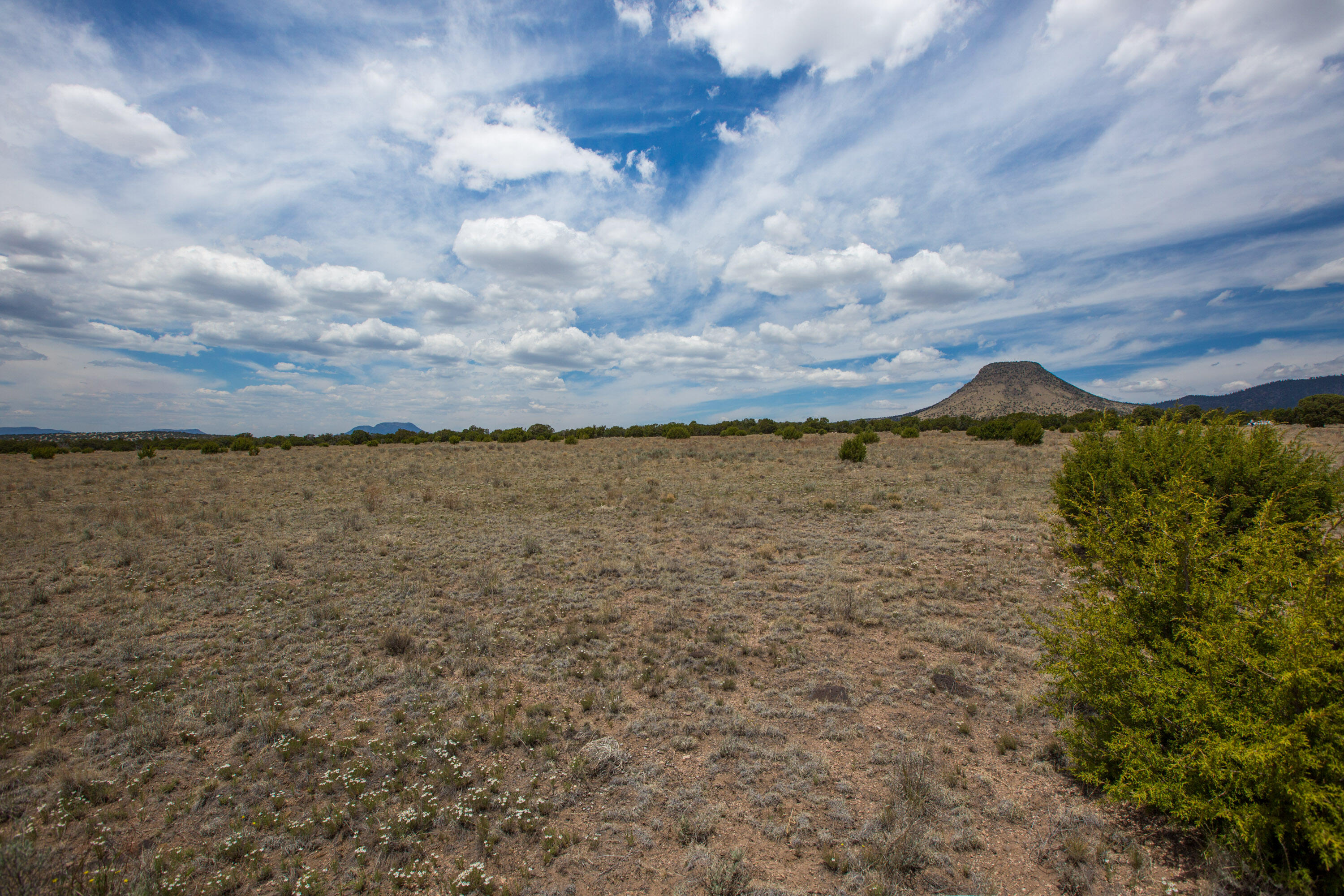 96 Sugarloaf Trail Datil, NM 87821 - Photo 6 of 19 Gallery Image 6