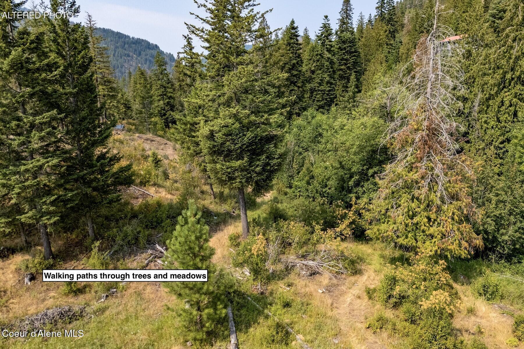 Nna Angel Creek Road Hope, ID 83836 - Photo 9 of 47 Walking Paths Through Property