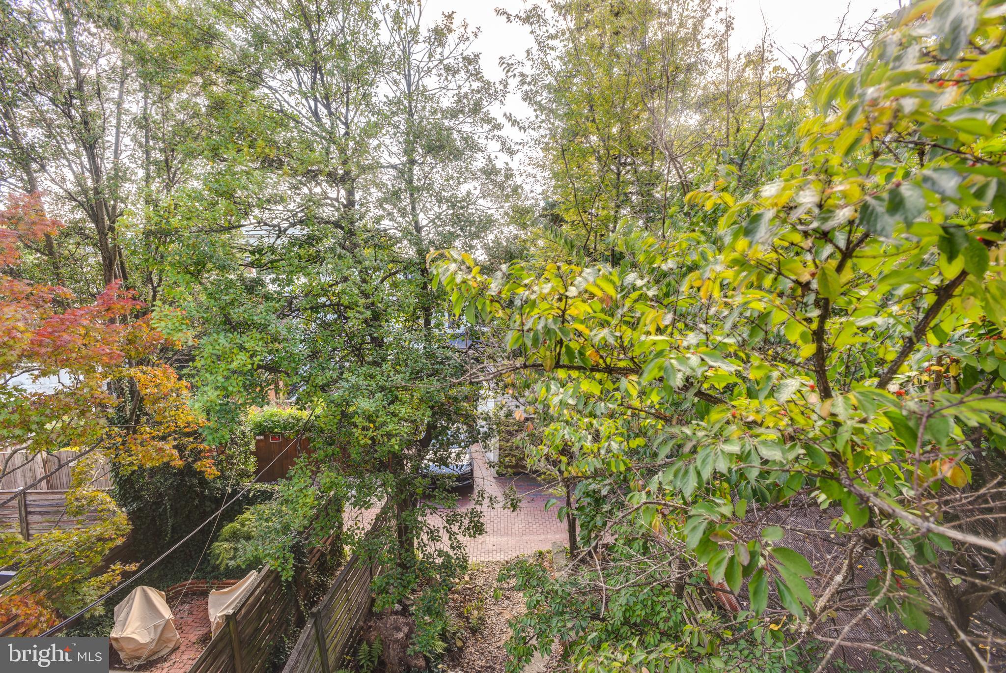 3026 R Street Northwest, Unit 2 Washington, DC 20007 - Photo 31 of 45 a view of a tree with a yard