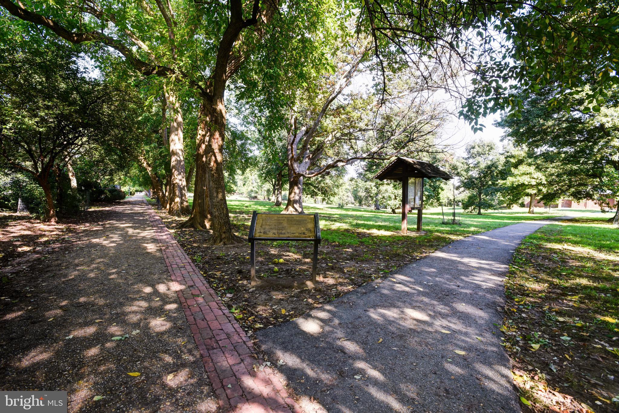 3026 R Street Northwest, Unit 2 Washington, DC 20007 - Photo 43 of 45 a view of a park with large trees