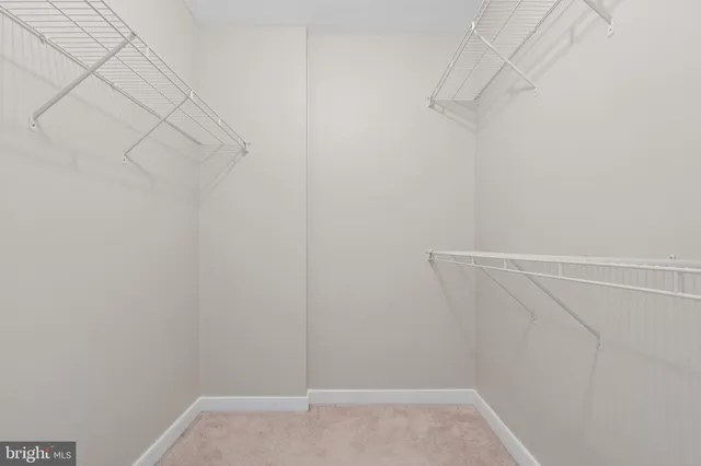 a view of a yard with plants and trees