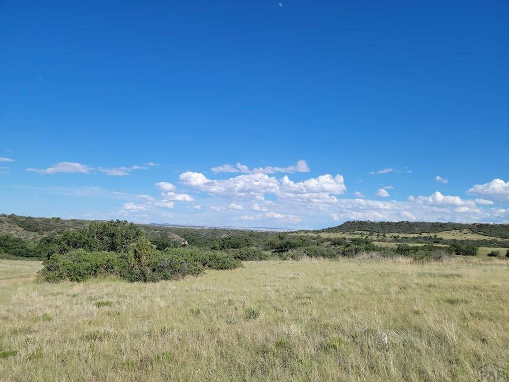 Tbd3 Greenhorn Road Rye, CO 81069 - Photo 3 of 6
