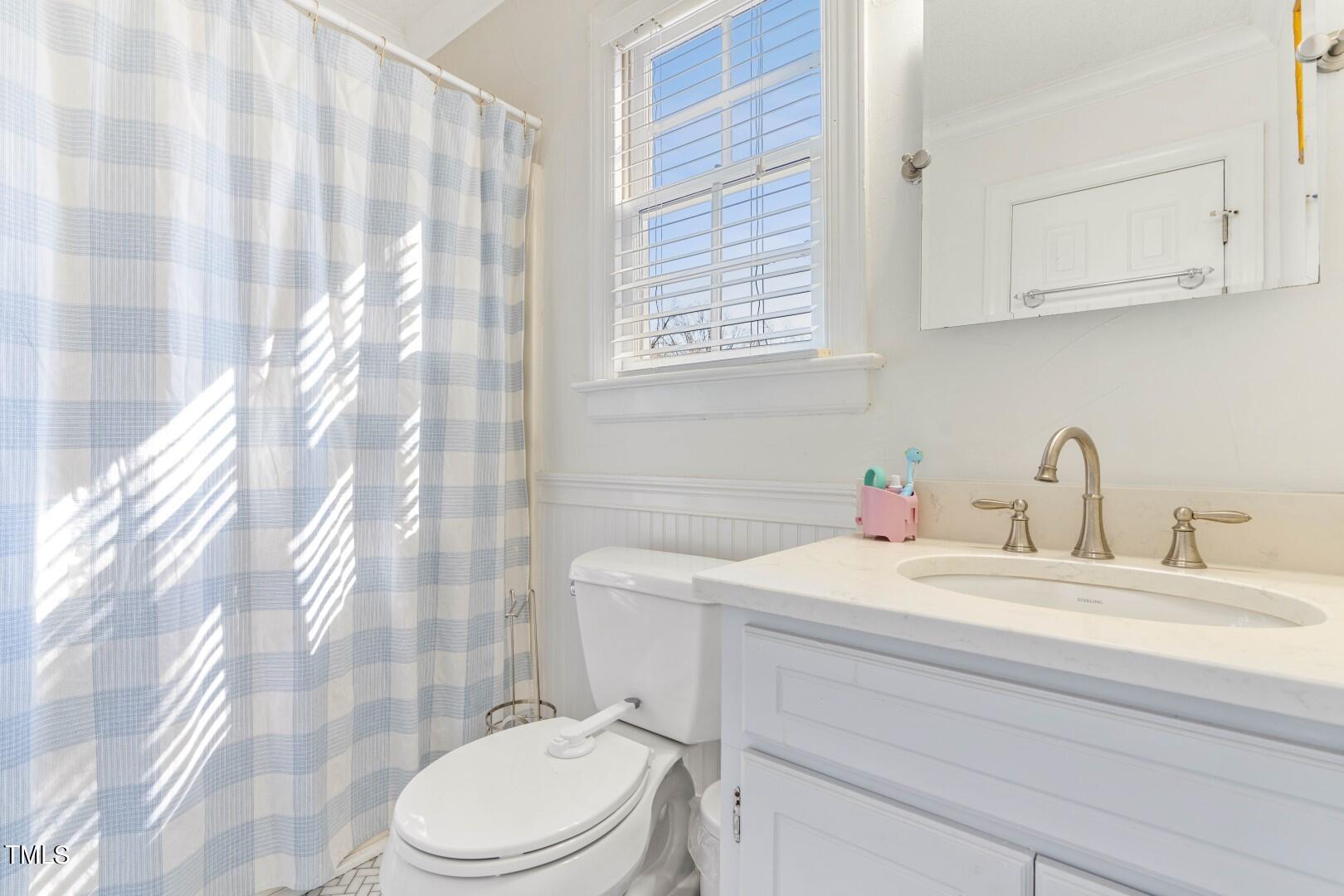 413 Maylands Avenue Raleigh, NC 27615 - Photo 17 of 30 DSC04494 (Large)