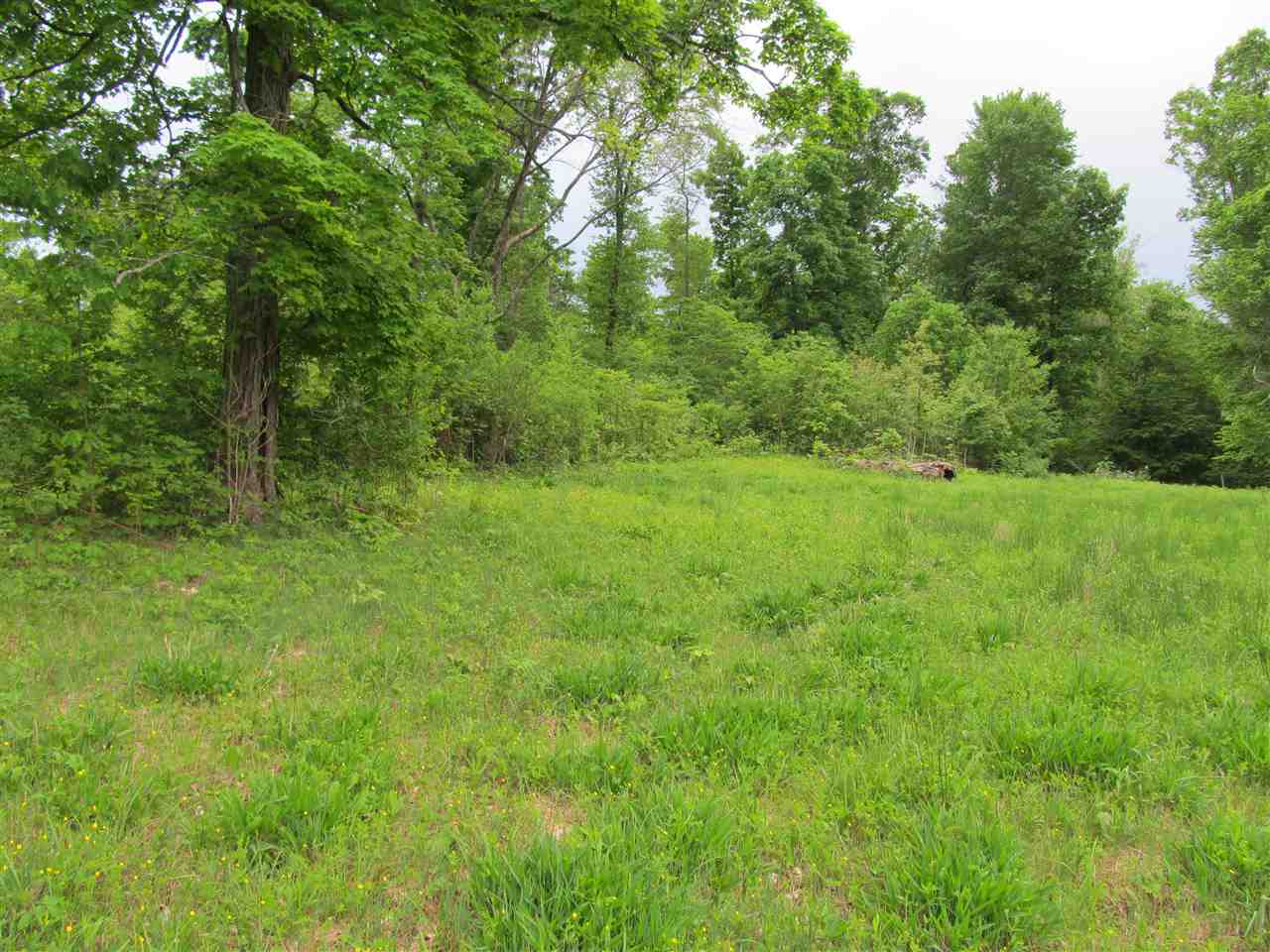 Tbd McMillan Road Springville, IN 47462 - Photo 2 of 9
