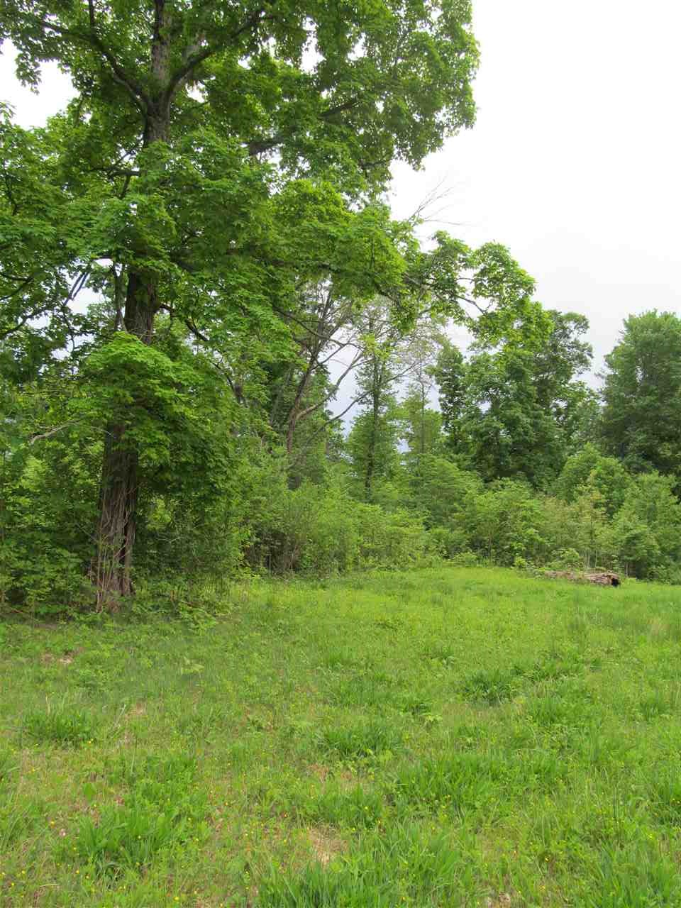Tbd McMillan Road Springville, IN 47462 - Photo 3 of 9