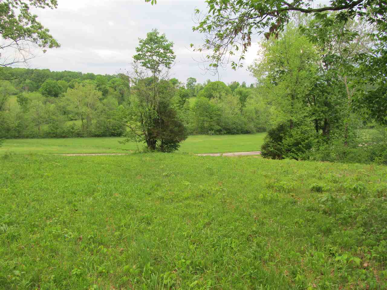 Tbd McMillan Road Springville, IN 47462 - Photo 4 of 9