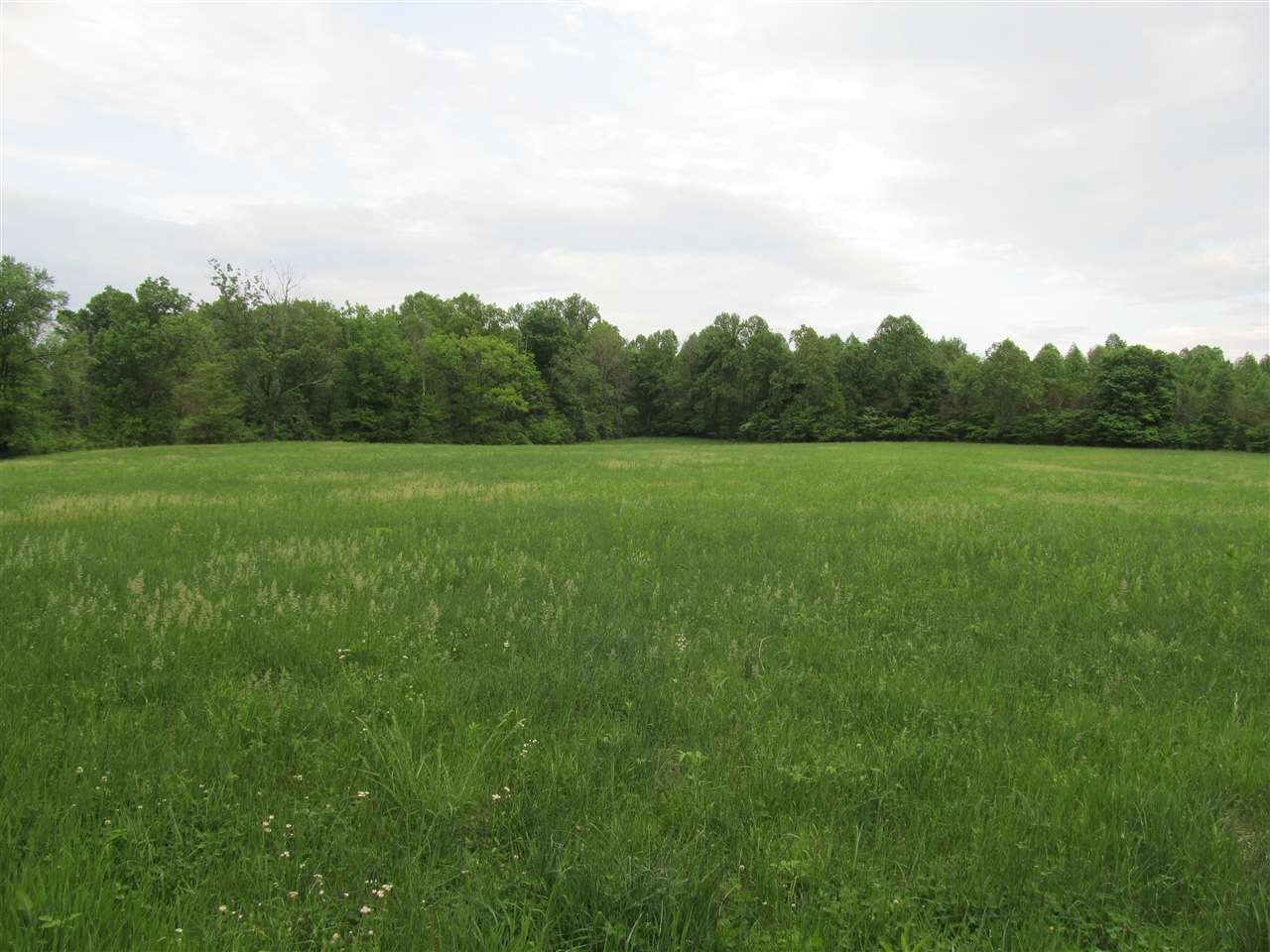 Tbd McMillan Road Springville, IN 47462 - Photo 5 of 9