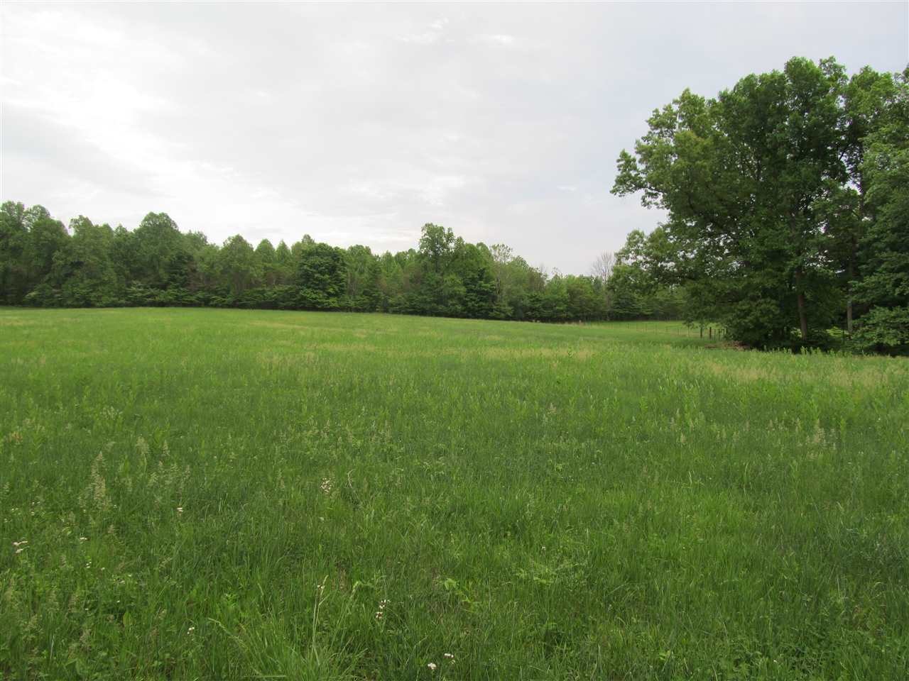 Tbd McMillan Road Springville, IN 47462 - Photo 6 of 9