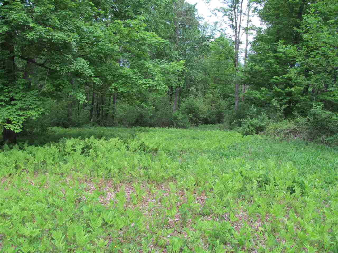 Tbd McMillan Road Springville, IN 47462 - Photo 7 of 9