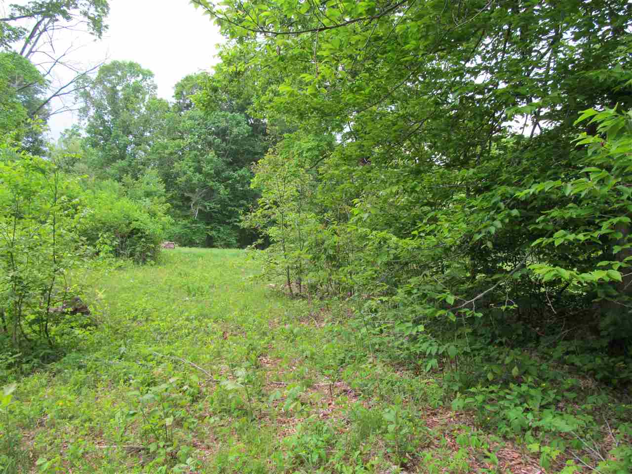 Tbd McMillan Road Springville, IN 47462 - Photo 8 of 9