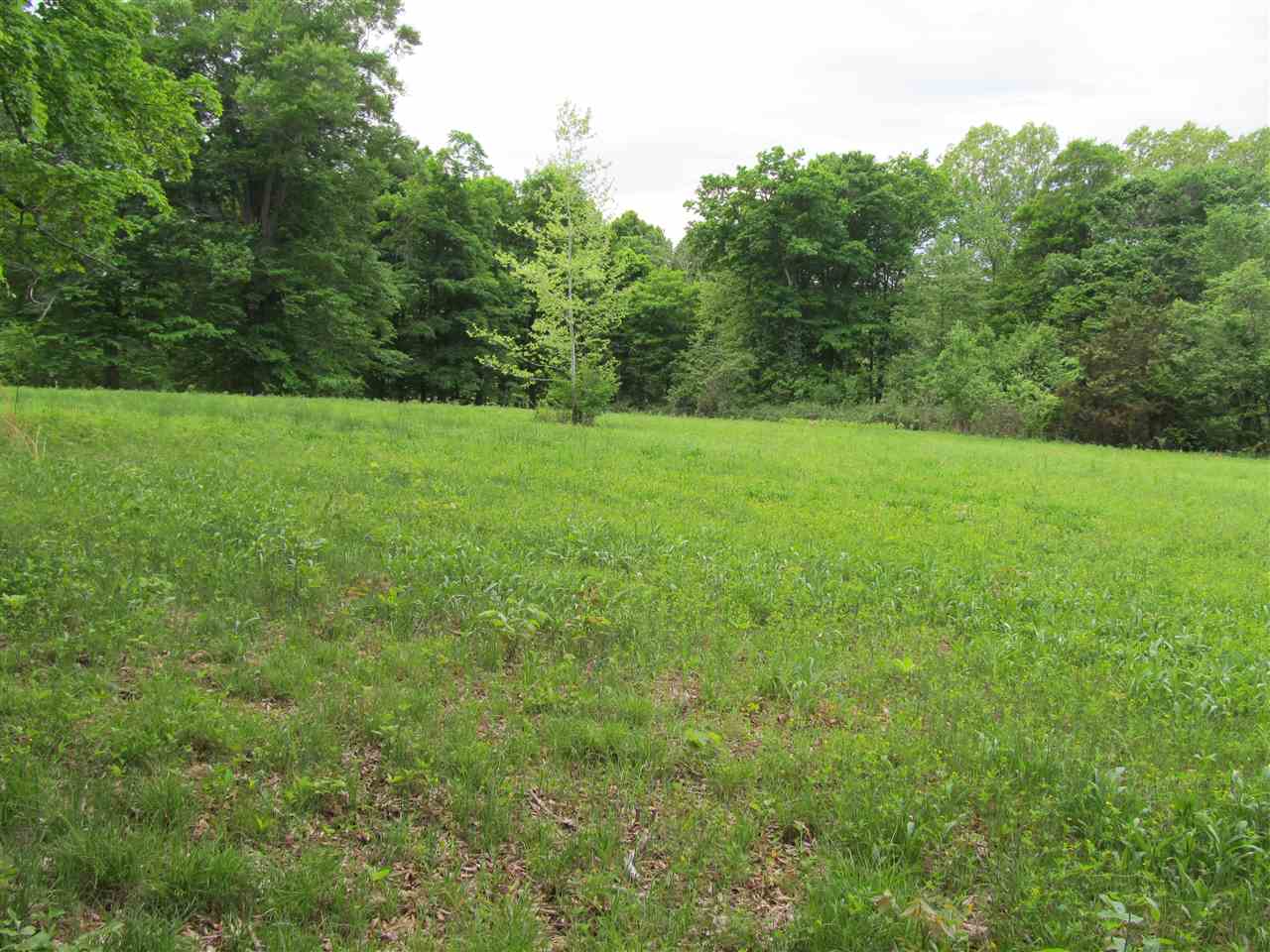 Tbd McMillan Road Springville, IN 47462 - Photo 9 of 9