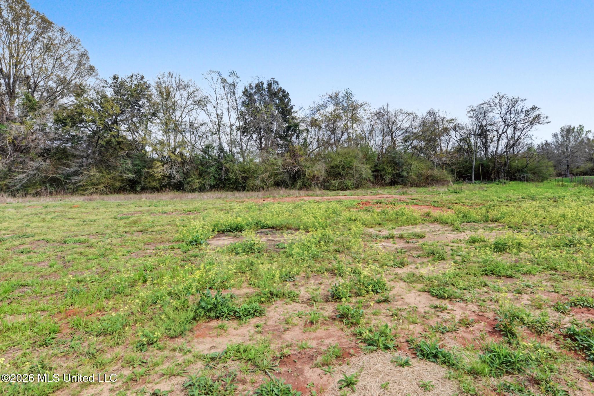 206 Marshall Smith Road Lucedale, MS 39452 - Photo 20 of 24 021
