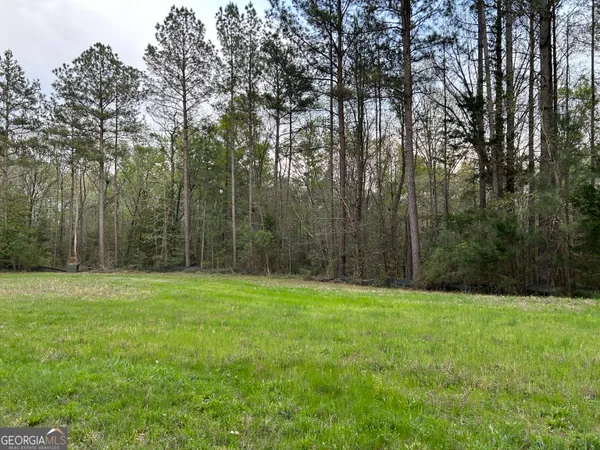 a view of a grassy field with trees in the background