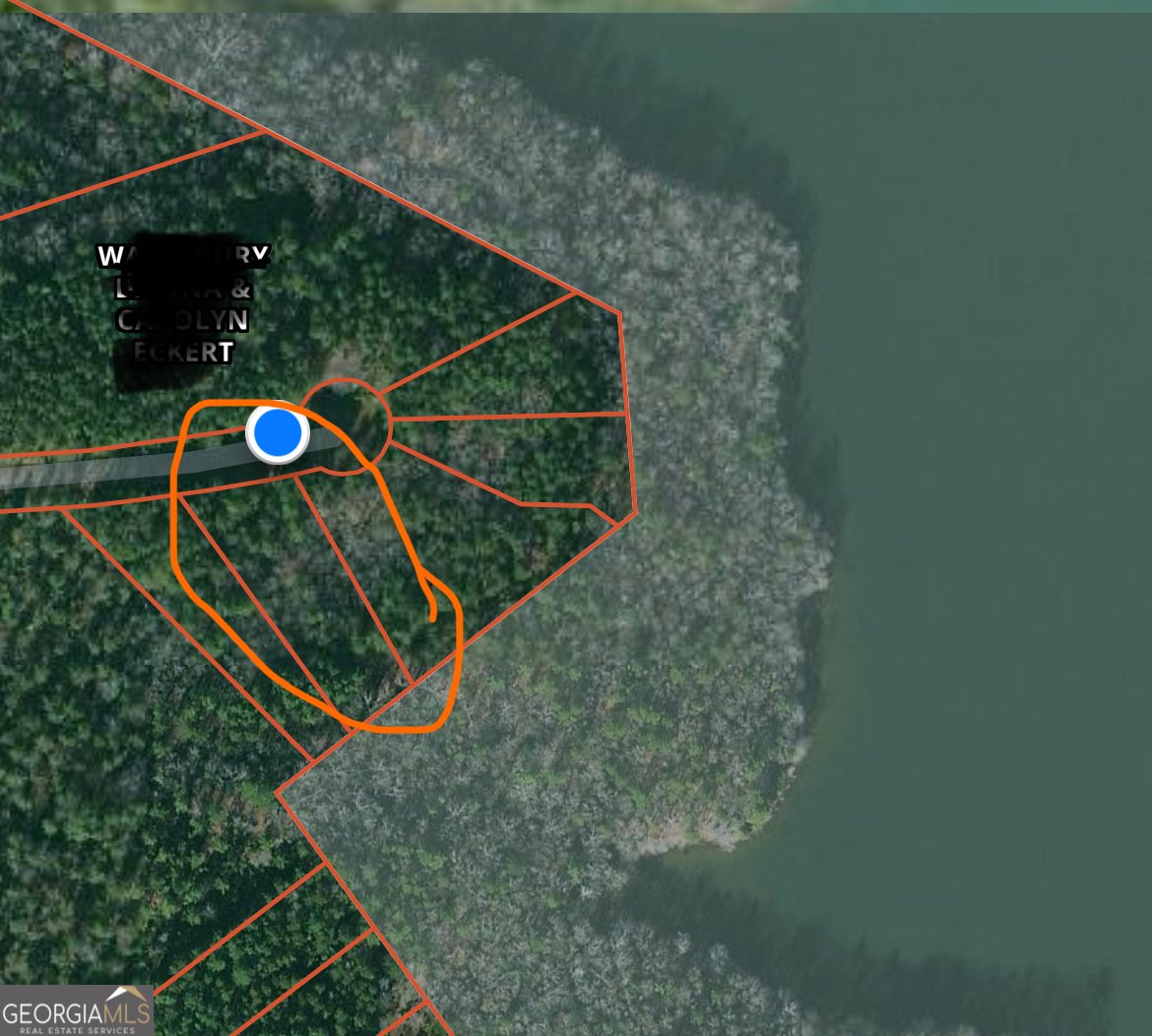 0 Panther Point Elberton, GA 30635 - Photo 2 of 7