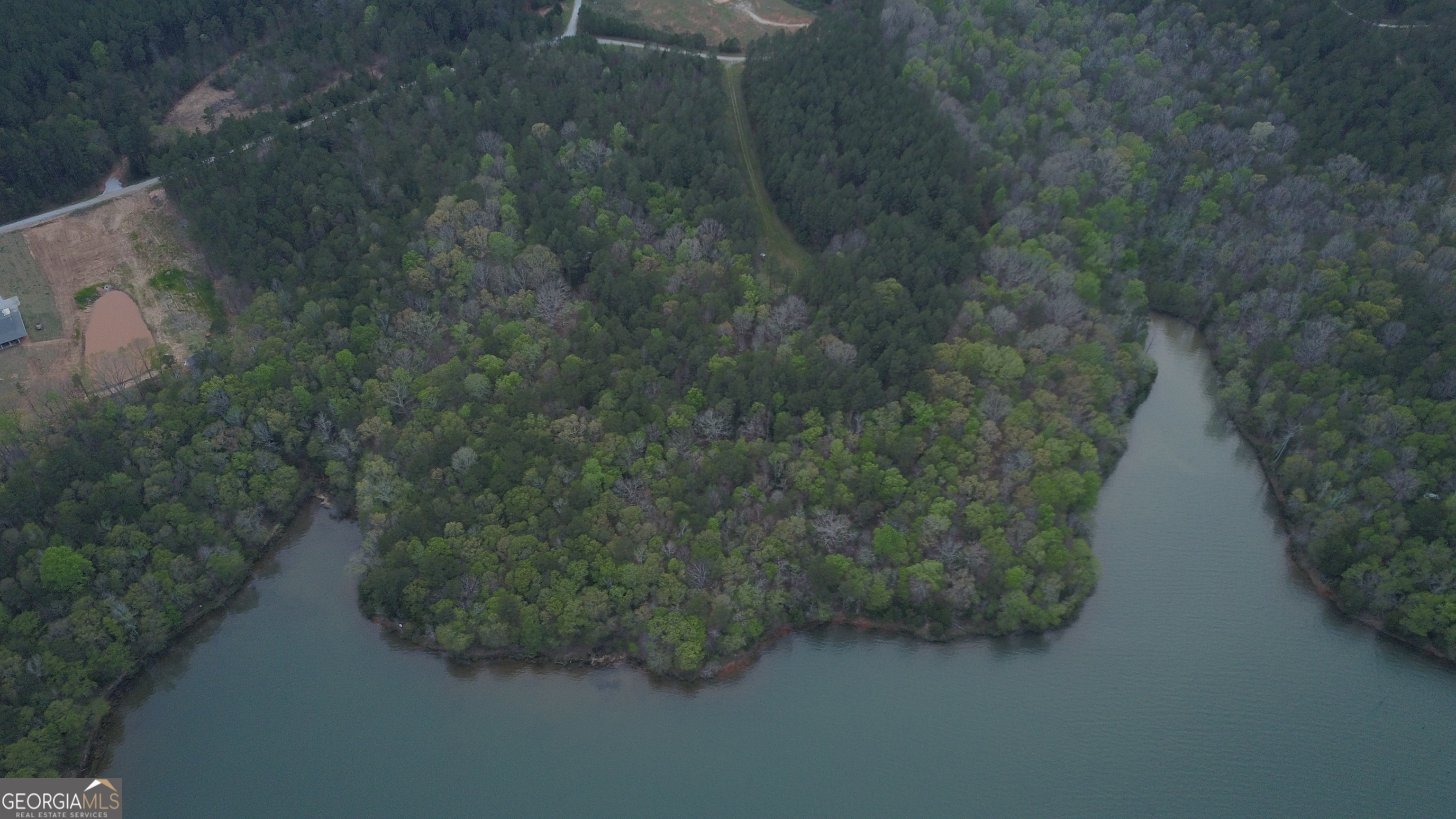 0 Panther Point Elberton, GA 30635 - Photo 5 of 7 a view of a forest with a street
