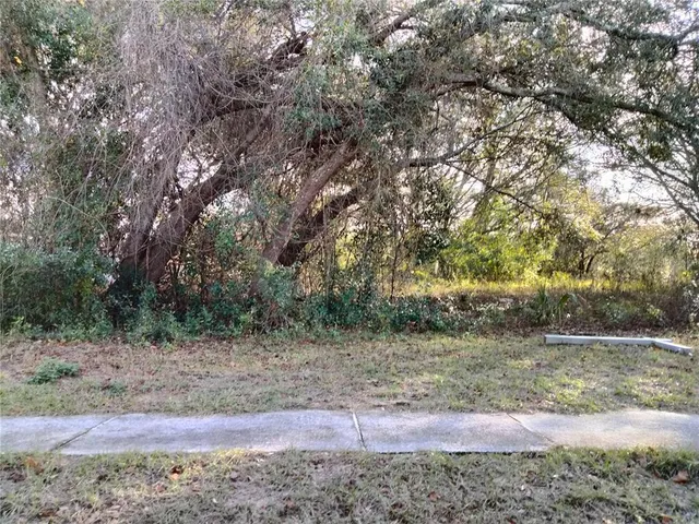 a view of a yard with a tree