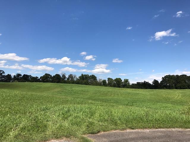 Holston Acres Drive Rutledge, TN 37861 - Photo 1 of 24 Lot 62 Front