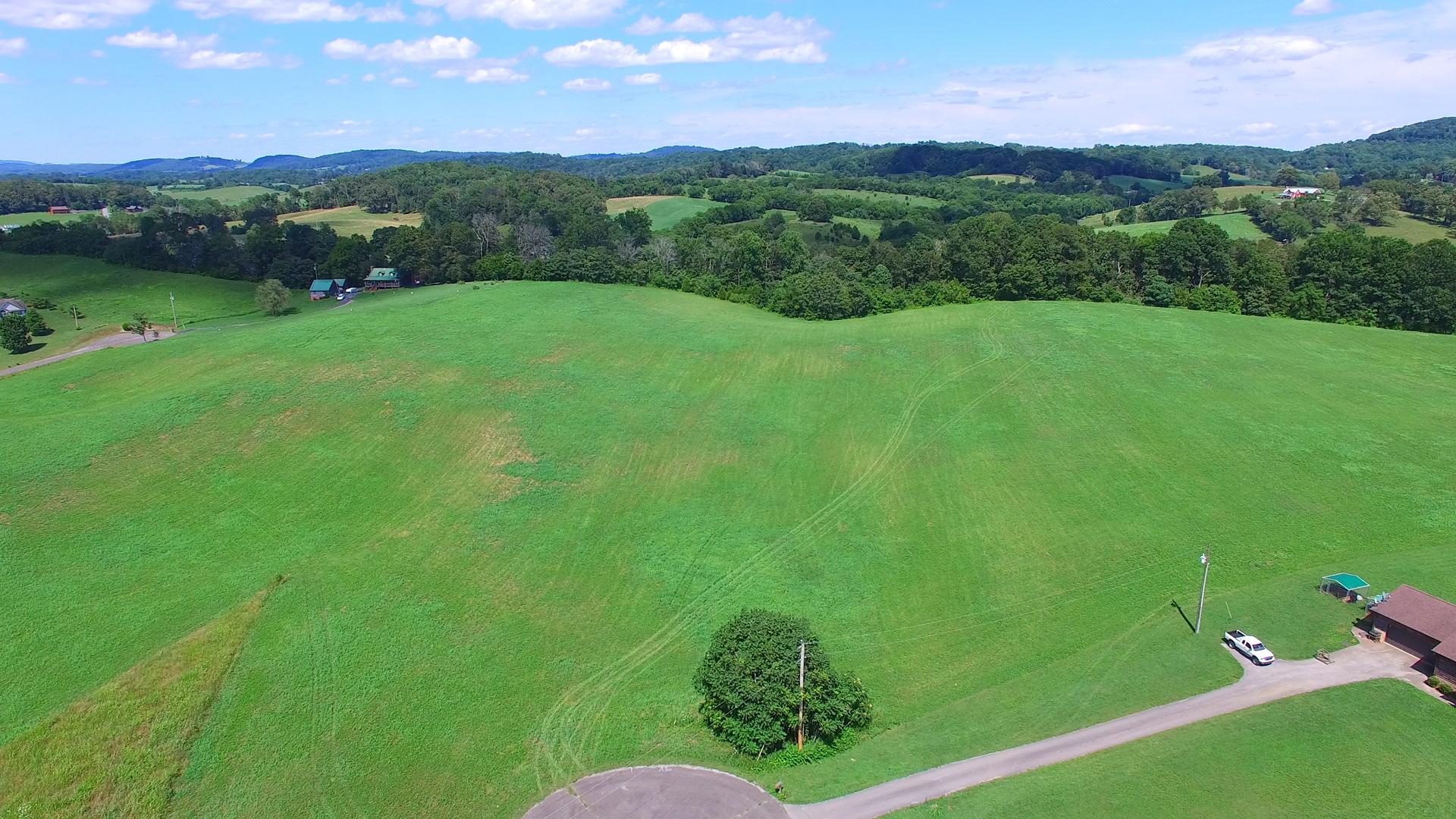 Holston Acres Drive Rutledge, TN 37861 - Photo 8 of 24 Aerial 2.jpeg