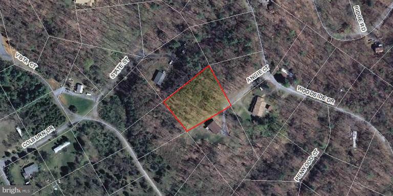 100 Angie Court Rileyville, VA 22650 - Photo 1 of 1 a aerial view of a house with a yard and covered with trees