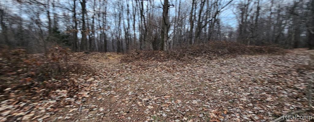 9194 Arbela Road Millington, MI 48746 - Photo 24 of 40