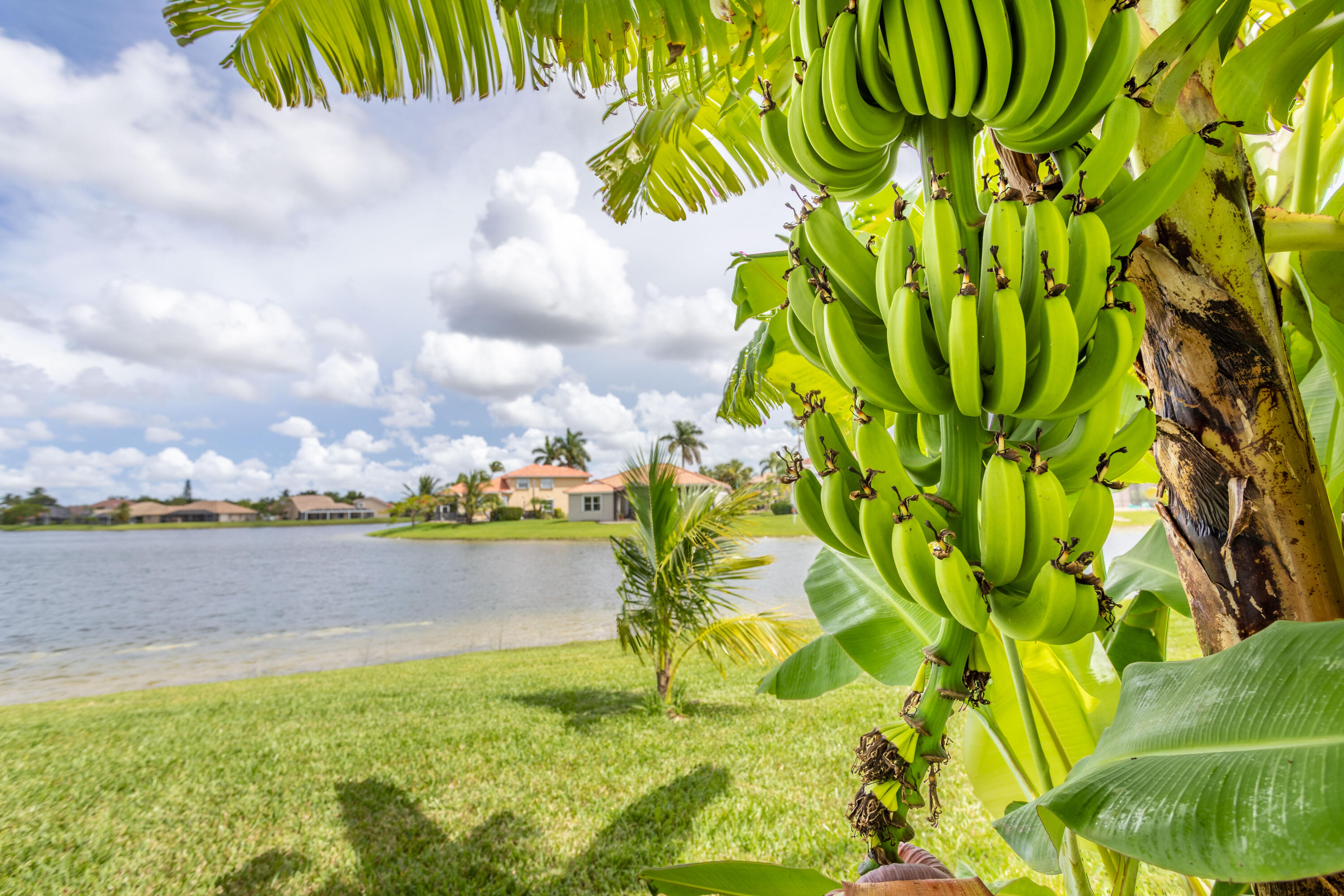 12601 Maypan Drive Boca Raton, FL 33428 - Photo 30 of 46 a view of lake view and mountain in the back