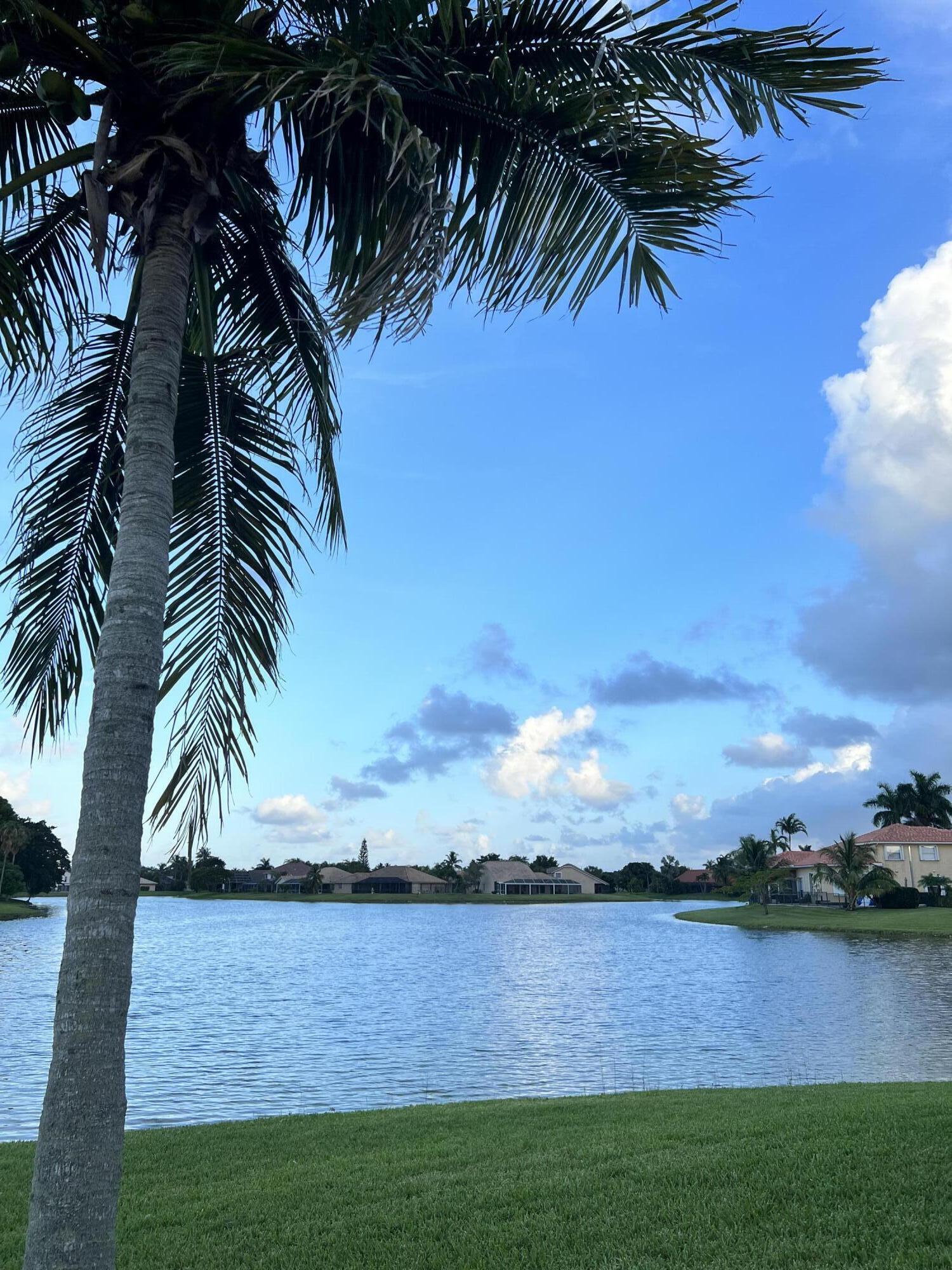 12601 Maypan Drive Boca Raton, FL 33428 - Photo 3 of 46 a view of a yard with palm trees