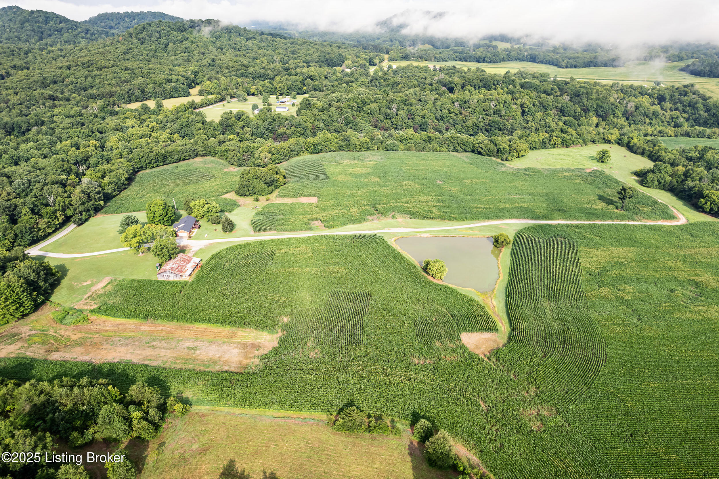 3530 Nat Rogers Road Boston, KY 40107 - Photo 36 of 43 NatRogersRd-5