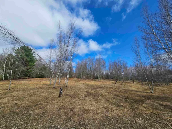 $99,000 | Tbd Dukes Road, Johnson, VT 05656