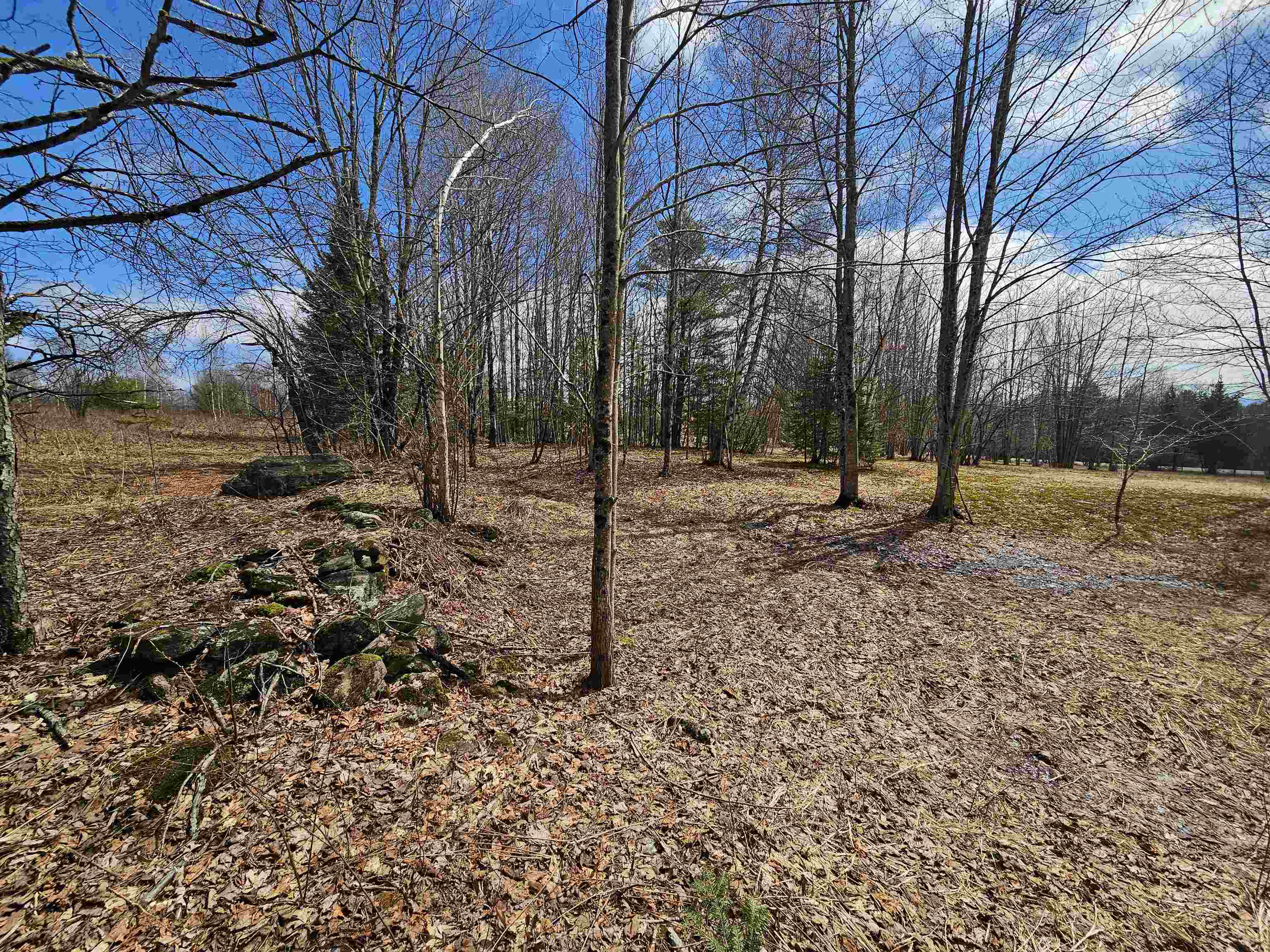 Tbd Dukes Road Johnson, VT 05656 - Photo 5 of 12