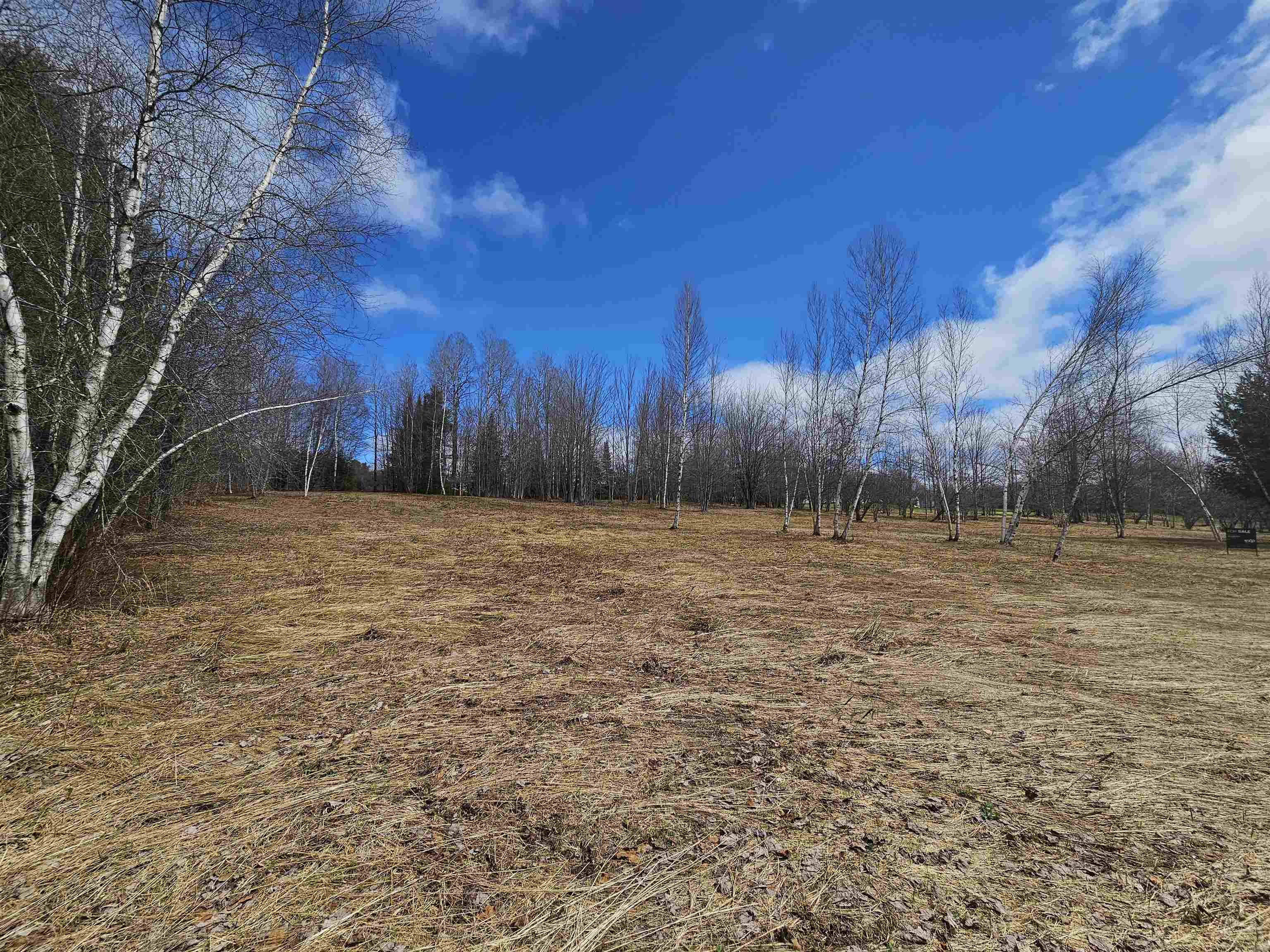 Tbd Dukes Road Johnson, VT 05656 - Photo 6 of 12