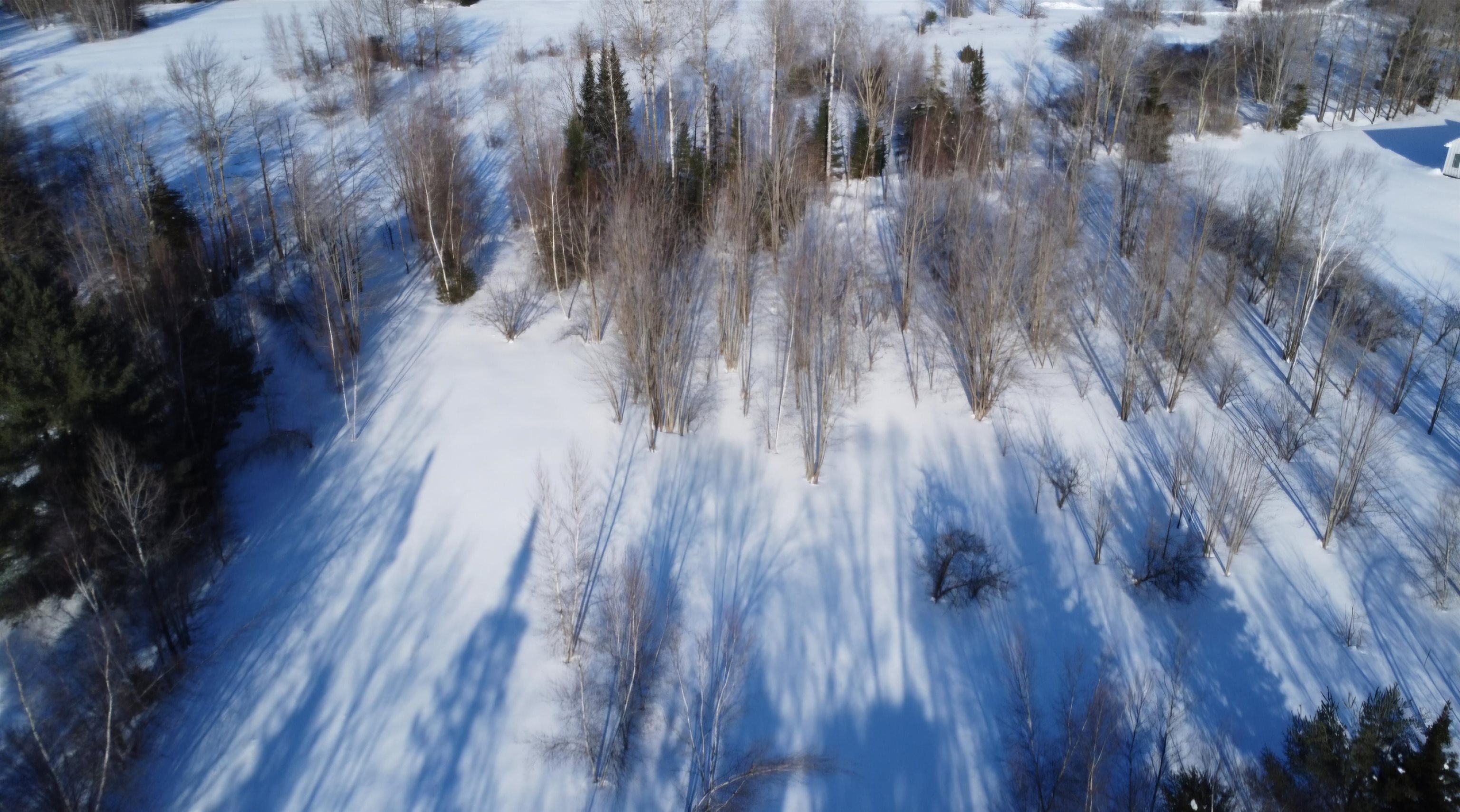 Tbd Dukes Road Johnson, VT 05656 - Photo 8 of 12