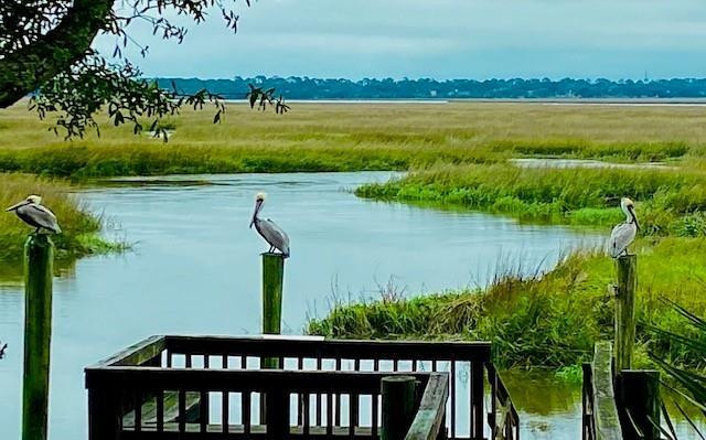 1420 Lawrence Road, Unit 18 St. Simons Island, GA 31522 - Photo 1 of 1