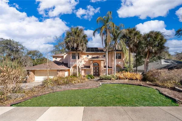 a view of a park with large trees
