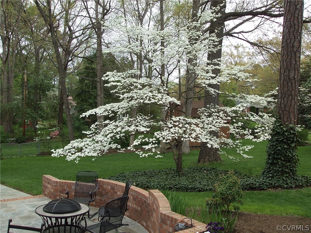 4249 Shirley Road Richmond, VA 23225 - Photo 21 of 23 Gallery Image 21