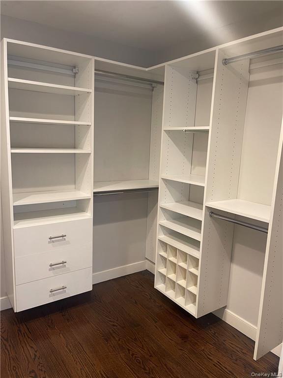 17 Cedar Street, Unit 1 Dobbs Ferry, NY 10522 - Photo 8 of 9 Walk in closet featuring dark wood-style flooring
