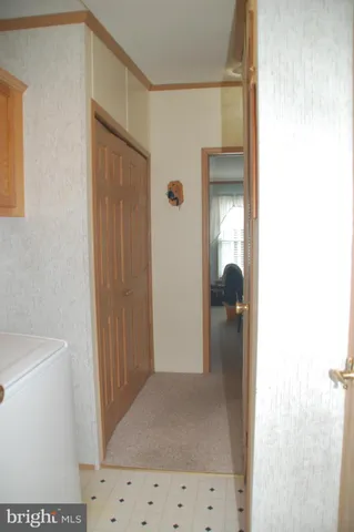 a view of a house with a yard plants and large tree