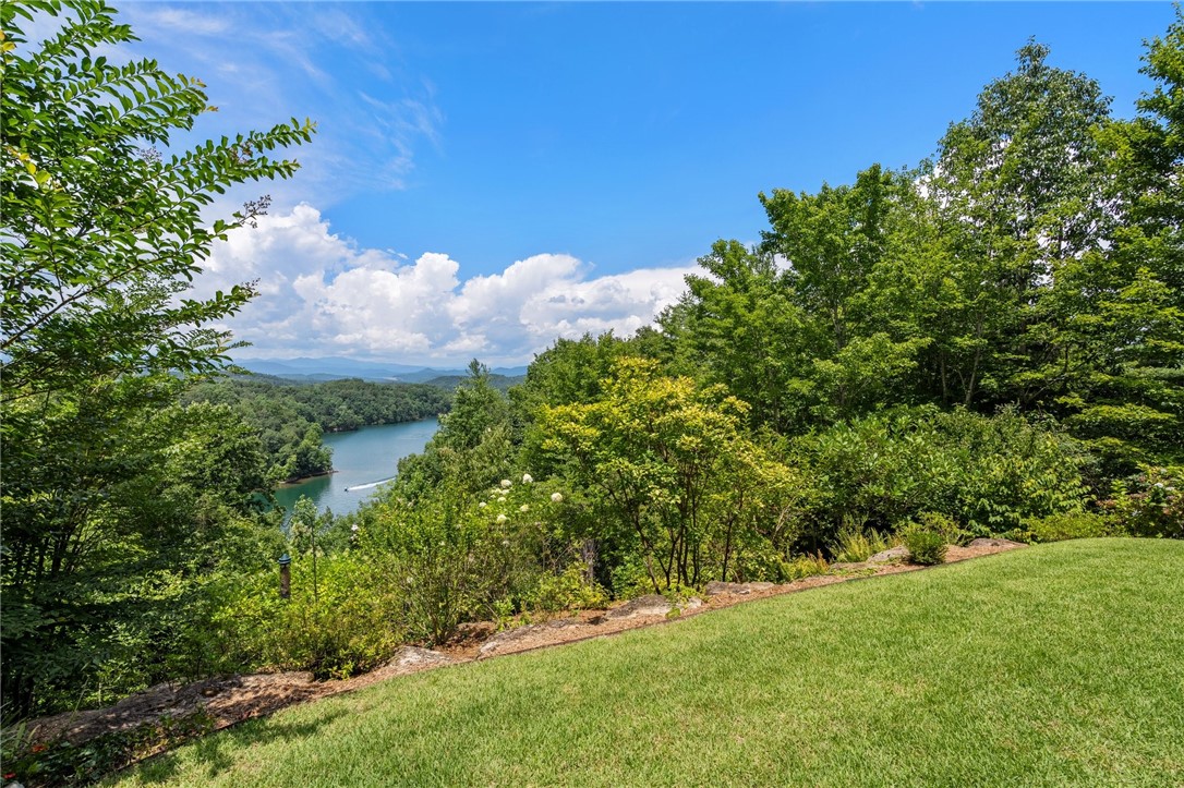 802 Top Ridge Drive Sunset, SC 29685 - Photo 36 of 38