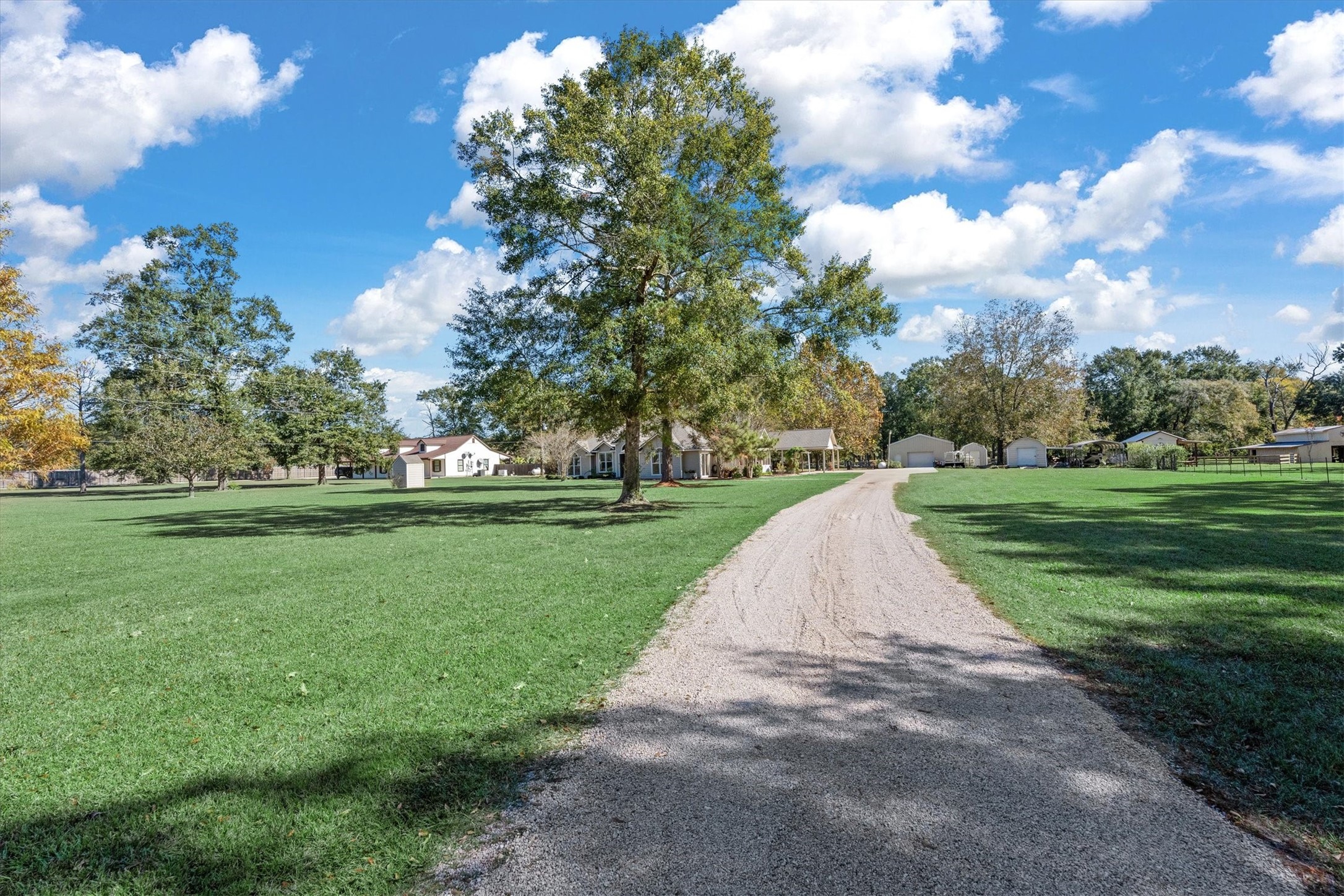 10205 Fostoria Road Cleveland, TX 77328 - Photo 3 of 44 a view of a park with large trees