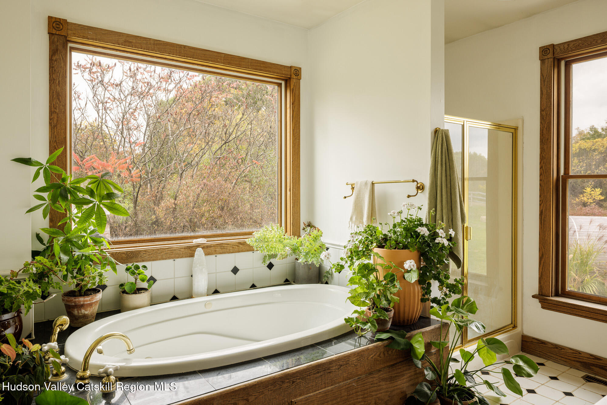 191 Farm To Market Road Athens, NY 12015 - Photo 13 of 31 a bathroom with a tub and potted plant