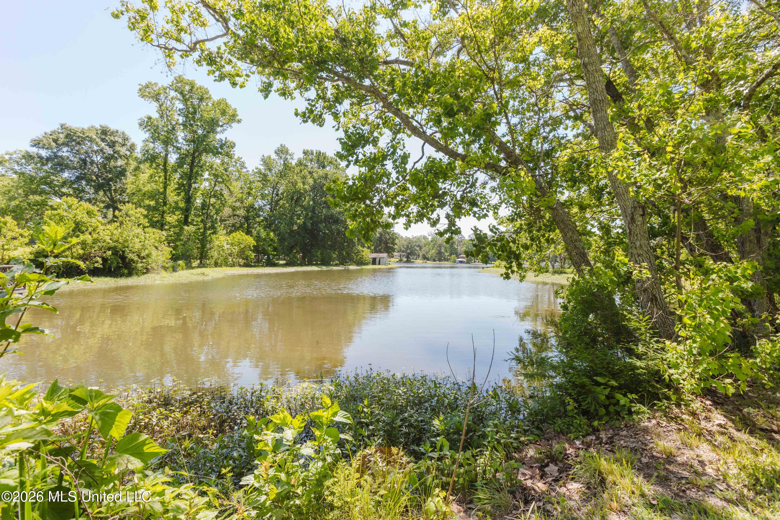 3830 Forest Hill Road Jackson, MS 39212 - Photo 46 of 61 watsonphotography260504111020