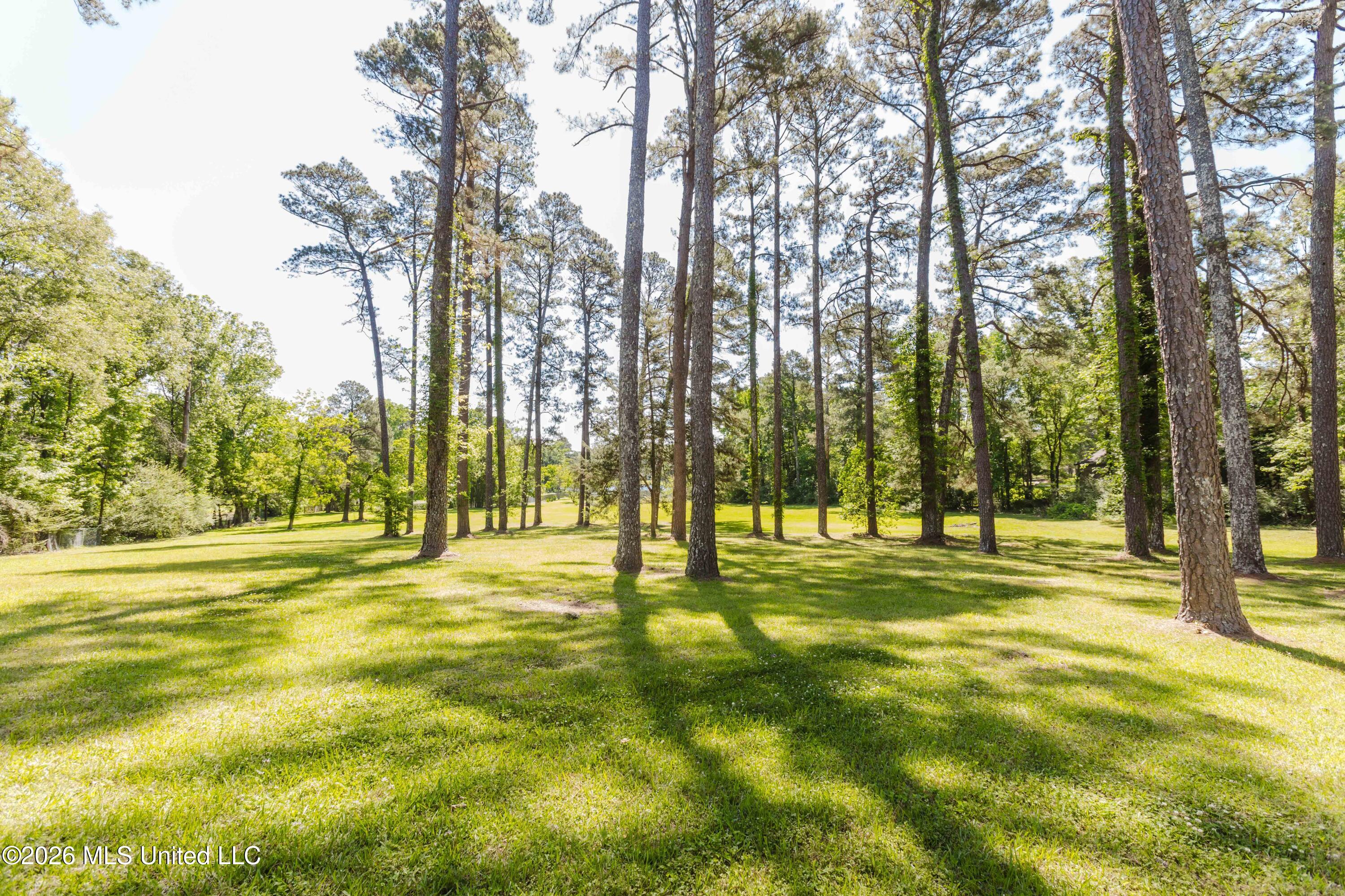3830 Forest Hill Road Jackson, MS 39212 - Photo 48 of 61 watsonphotography260504110707