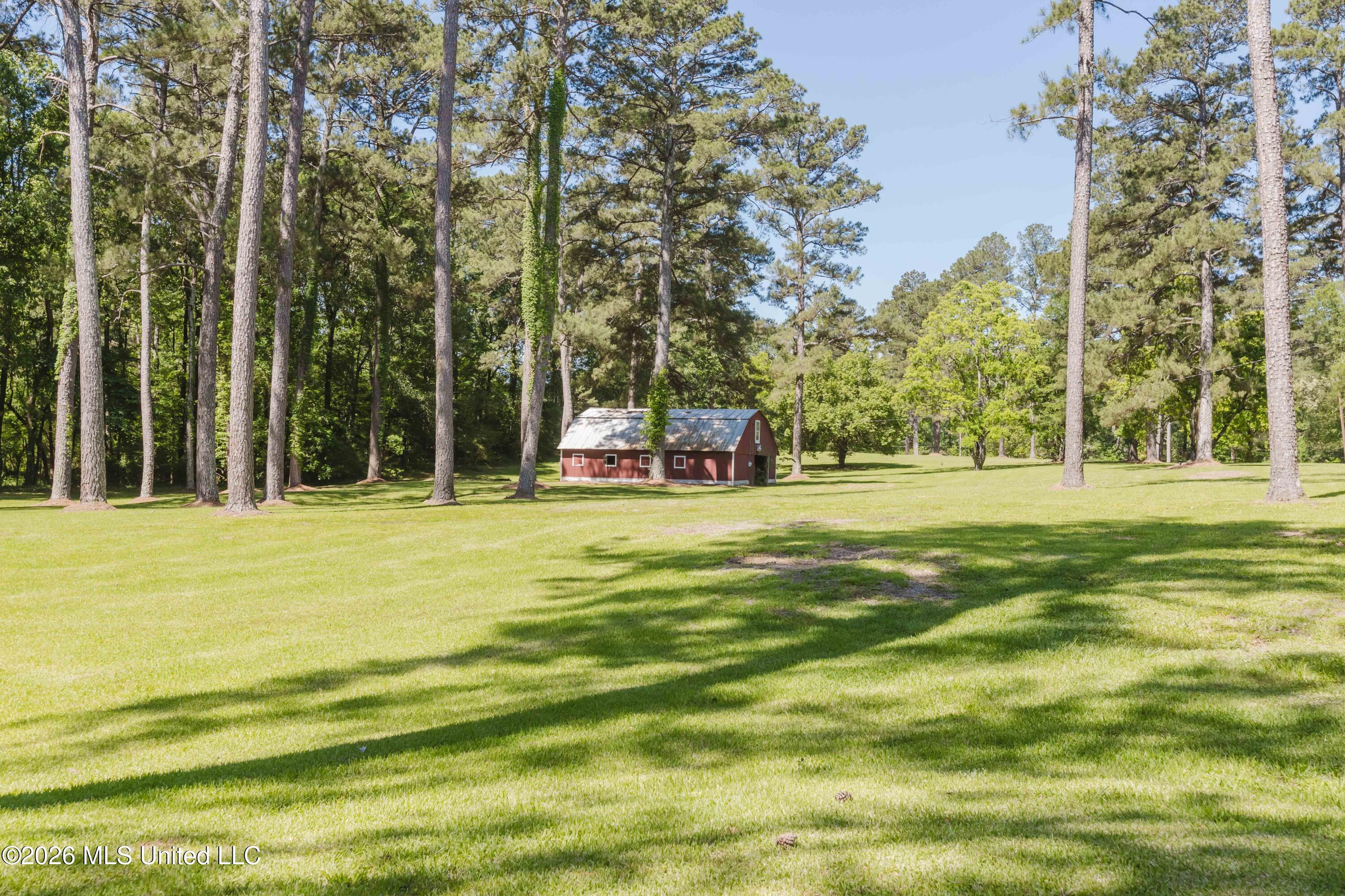 3830 Forest Hill Road Jackson, MS 39212 - Photo 49 of 61 watsonphotography260504110102