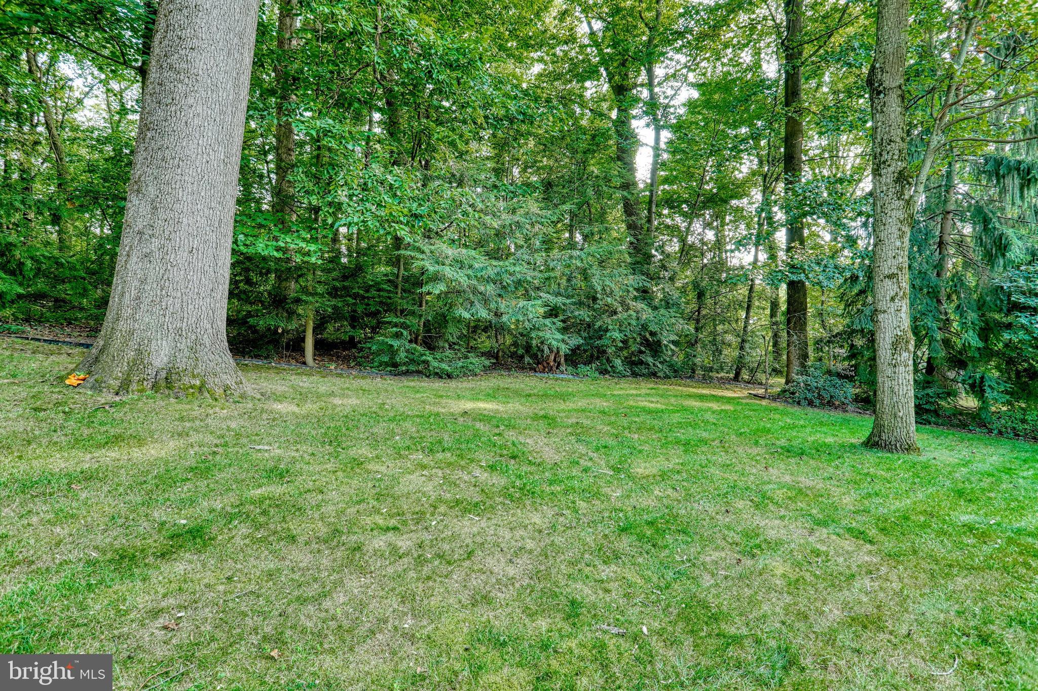 3420 Harrowgate Road York, PA 17402 - Photo 9 of 41 Back yard